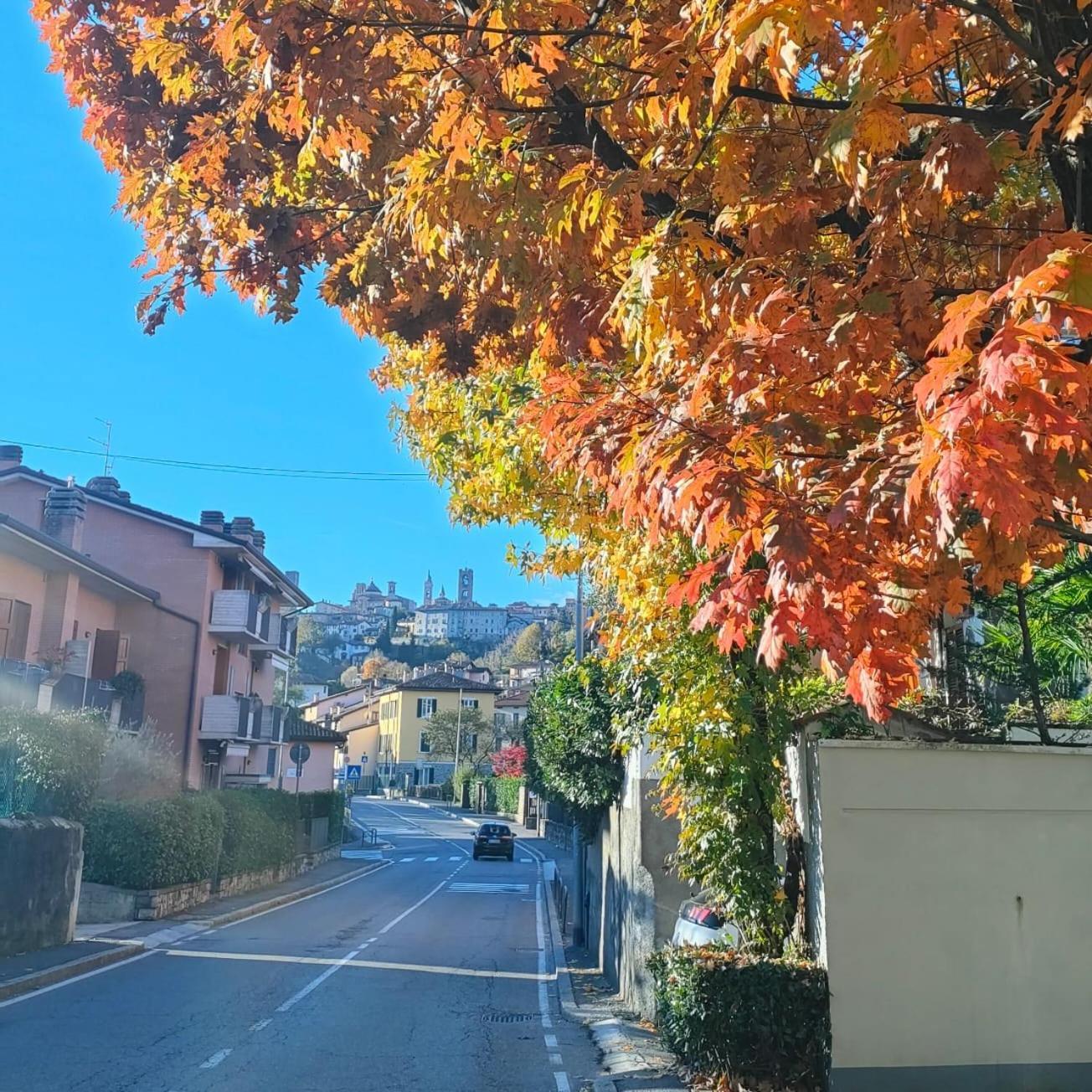Nelly Bergamo Apartments エクステリア 写真